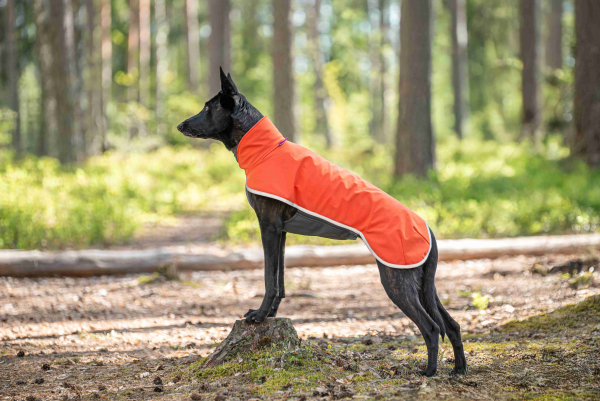 SporttiPomppa Softshell-Hundemantel Habanero