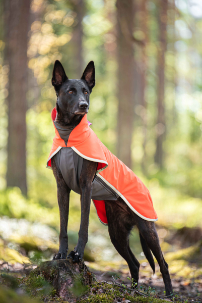 SporttiPomppa Softshell-Hundemantel Habanero