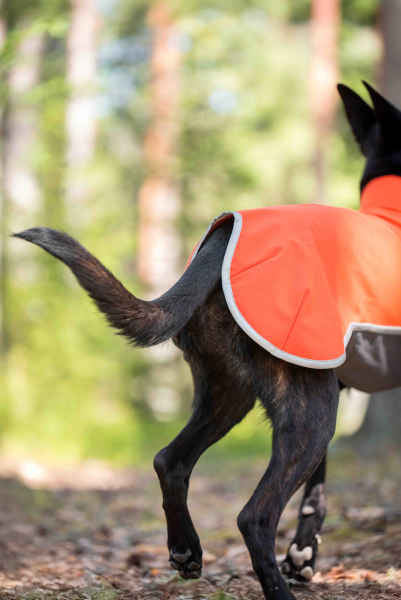 SporttiPomppa Softshell-Hundemantel Habanero
