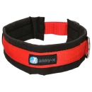 annyx Steckhalsband Fun schwarz/rot